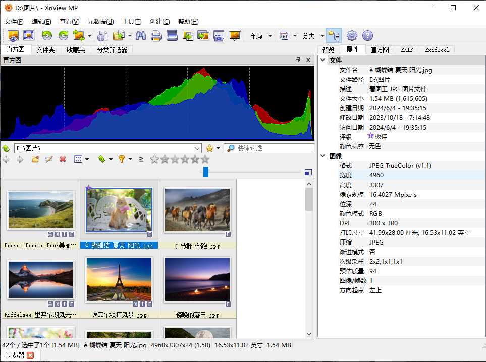 XnViewMP(图像查看器)v1.7.2中文破解版 第2张