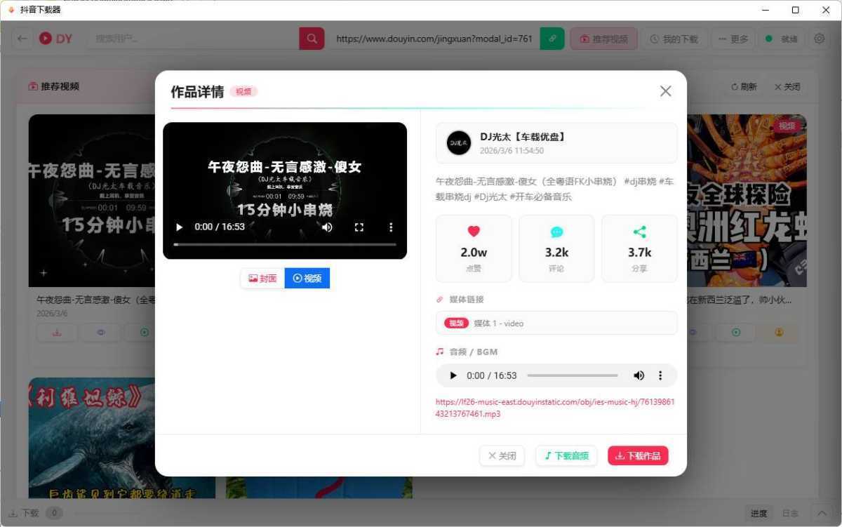 抖音下载器 DY Video Downloader v0.0.9 绿色便携版 第3张